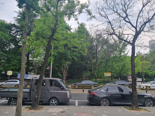 작명소 건물 앞 대로변